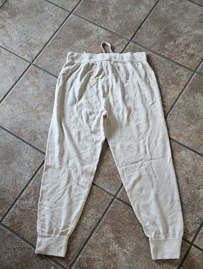Banana Republuc Light Cream Cozy Jogger Pants
